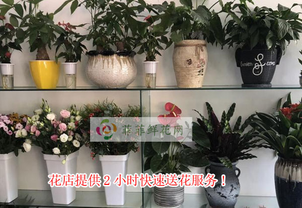 宣城花店提供宣城2小时快速送花服务